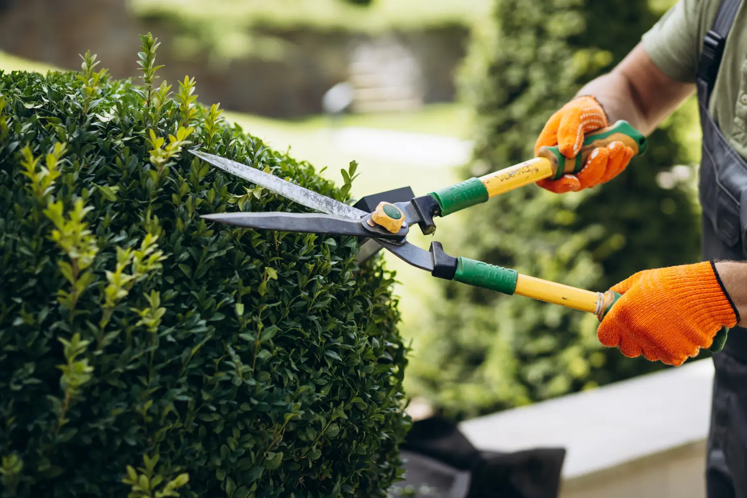 Gartenarbeiter beschneidet Bäume mit einer Schere im Garten